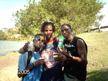 serpent le cool et mangouste pliss f�ssss